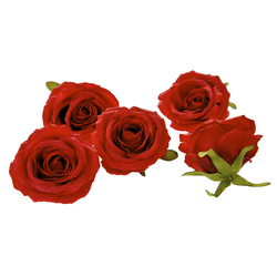 Κόκκινο Τριαντάφυλλο Κεφάλι Φ9cm Σετ 24Τεμ - 28973979
