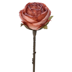 Ροζ Τριαντάφυλλο Με Κλαδί 30cm - 28973989