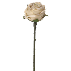 Κρεμ Τριαντάφυλλο Με Κλαδί 30cm - 28973992