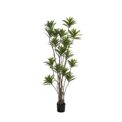 Φυτό Bamboo Σε Μαύρη Πλαστική Γλάστρα 180cm - 28985117