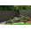 Λωρίδα Φράχτη Rattan Πράσινο 19x255cm Rattanart - SG03650RD12