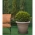 Γλάστρα Στρόγγυλη Πλαστική Terracotta 19x16cm 2.1L Micplast - 11017701