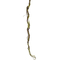 Κλαδί Κληματσίδα Με Βρύα 180cm - 28970658