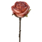 Ροζ Τριαντάφυλλο Με Κλαδί 30cm - 28973989