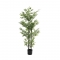 Φυτό Bamboo Σε Μαύρη Πλαστική Γλάστρα 150cm - 28985118