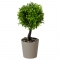 Γλαστράκι Με Τεχνητό Φυτό Tree 8x18cm Viosarp - 5206753043461